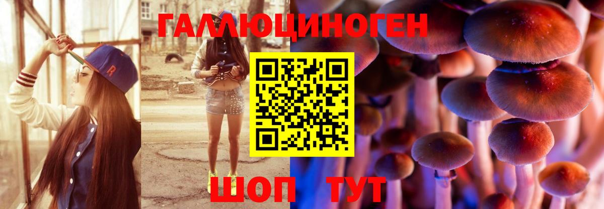 Галлюциногенные грибы Magic Shrooms  Вход с VPN  закладки  Кемерово 